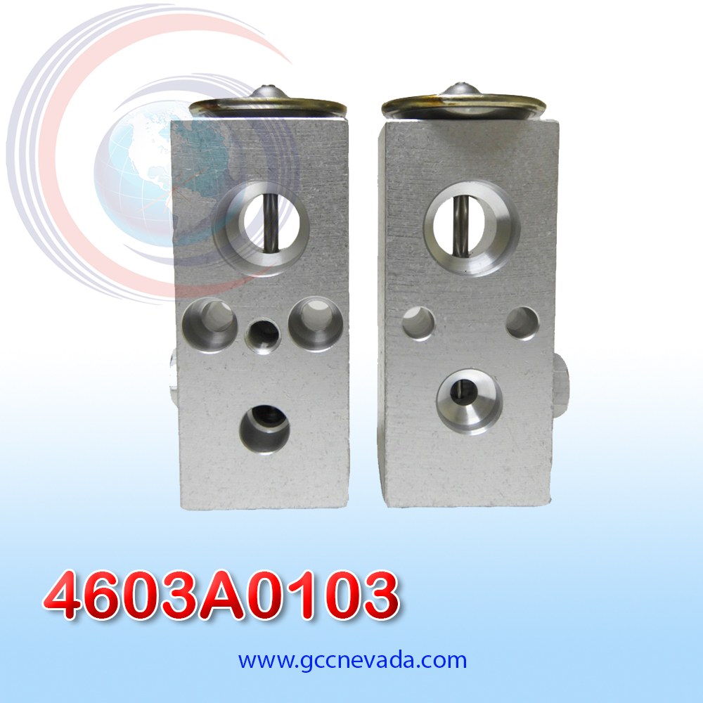 VALVULA CHRYSLER NEON DE EXP/BLOCK AÑO 03/04 ASIA