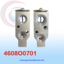 VALVULA G/M CAPTIVA AÑO 06/08 EXP/BLOCK NEVADA ASIA