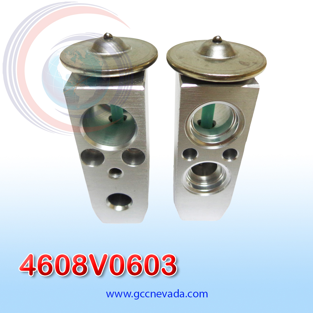 VALVULA G/M GRAND VITARA XL-7 AÑO 05/08 EXP/BLOCK ASIA