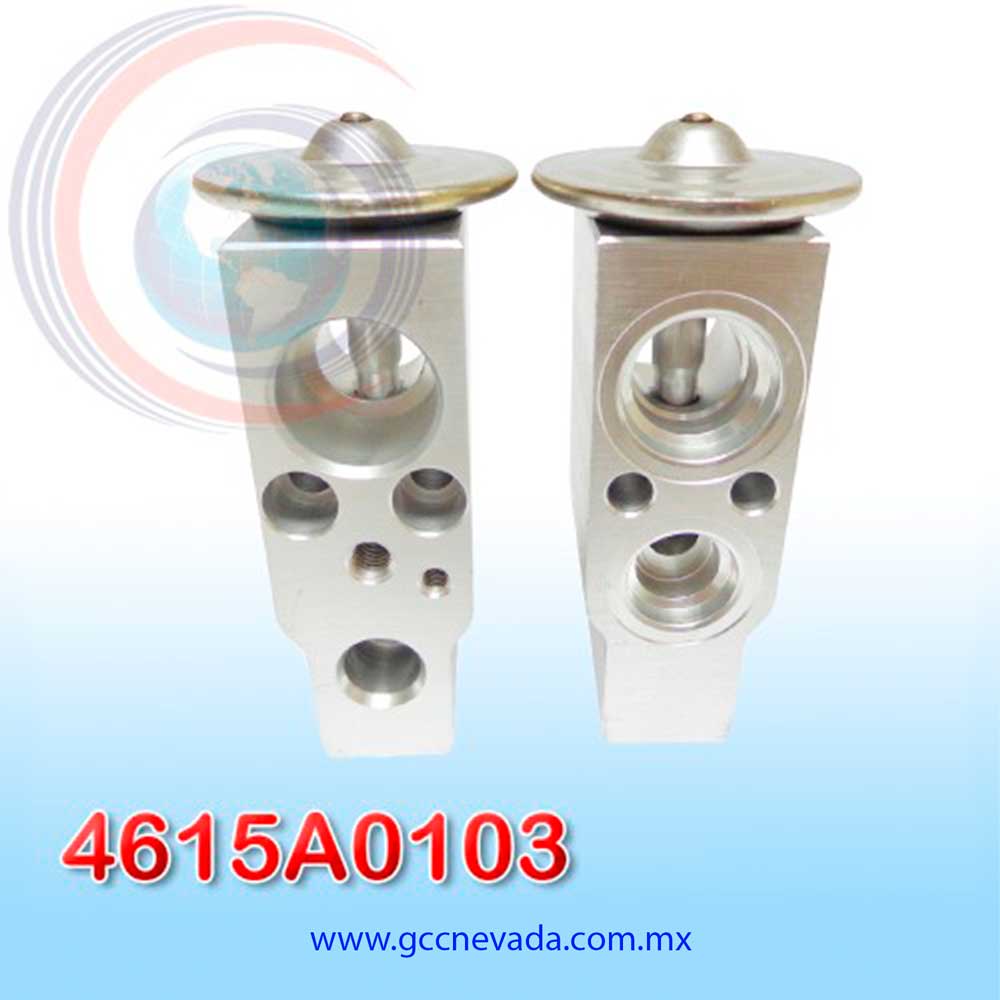 VALVULA NISSAN SENTRA AÑO 00/02 EXP/BLOCK NEVADA ASIA