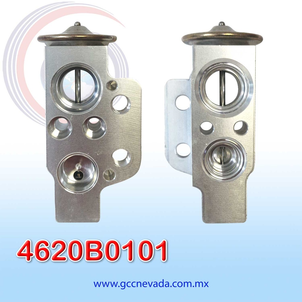 VALVULA VOLKSWAGEN JETTA 2005 EXP/BLOCK NEVADA (PAQ 1) ASIA