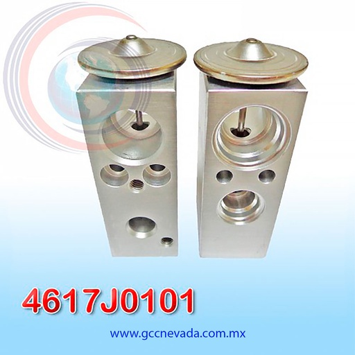 [4617J0101] VALVULA RENAULT LOGAN AÑO 08/12 / NEON 03/05 / DONGFEN 30-60 EXP/BLOCK NEVADA ASIA