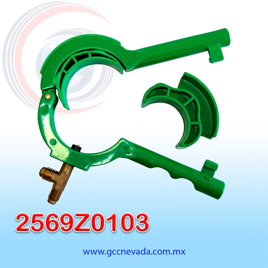 INYECTOR DE GAS ASIA
