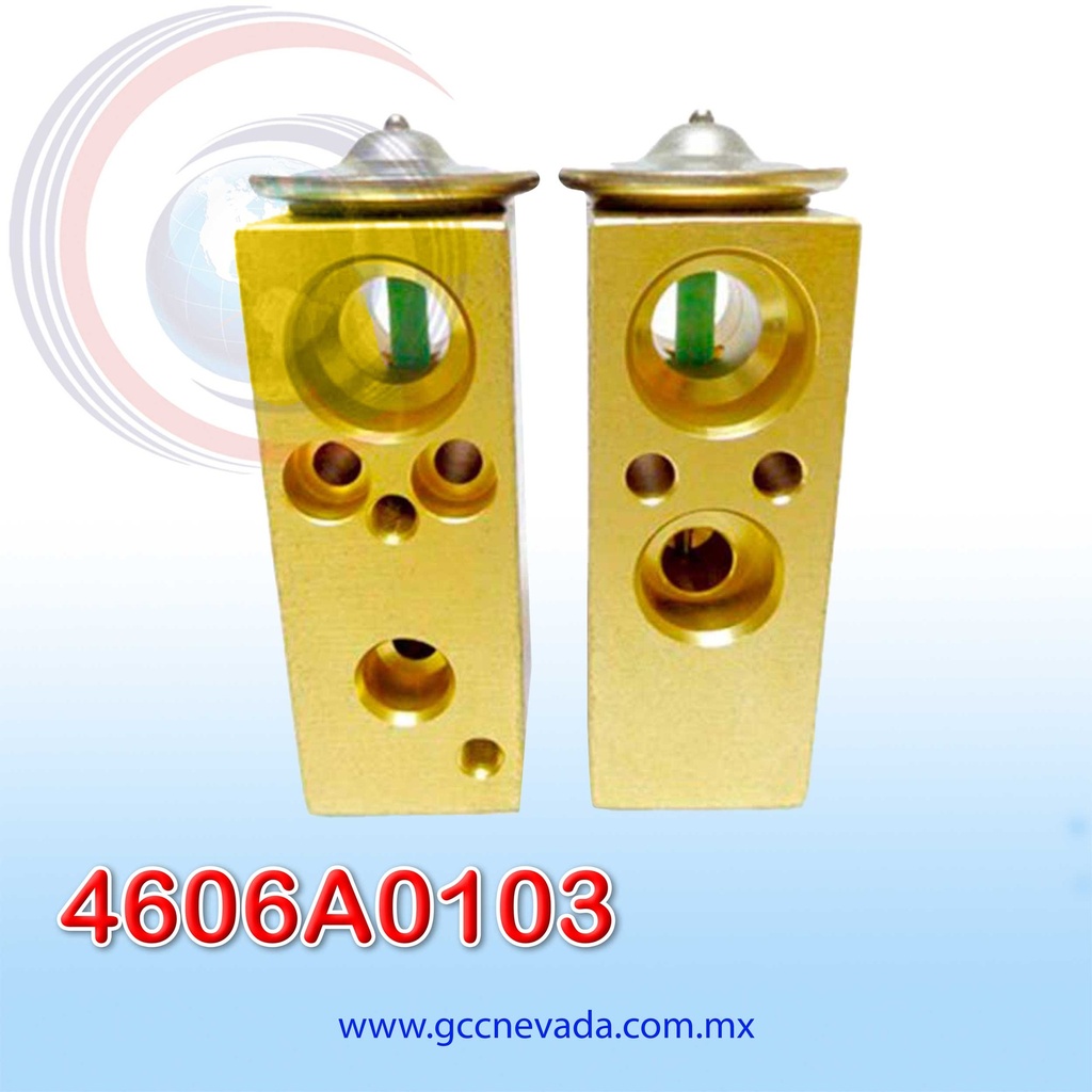 VALVULA FIAT PALIO AÑO 04/09 EXP/BLOCK NEVADA ASIA