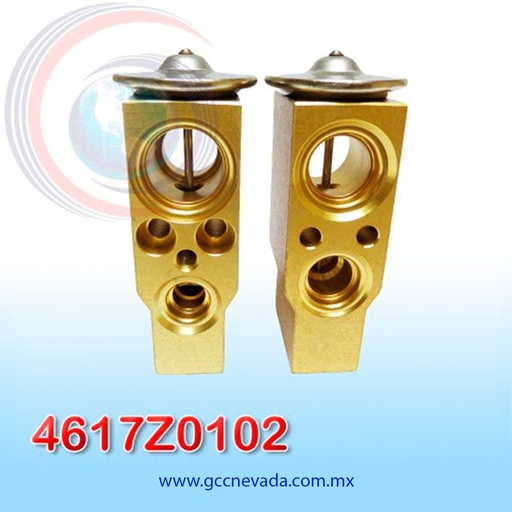 [4617Z0102] VALVULA RENAULT MEGANE / CLIO SYMBOL AÑO 00/05 EXP/BLOCK ASIA